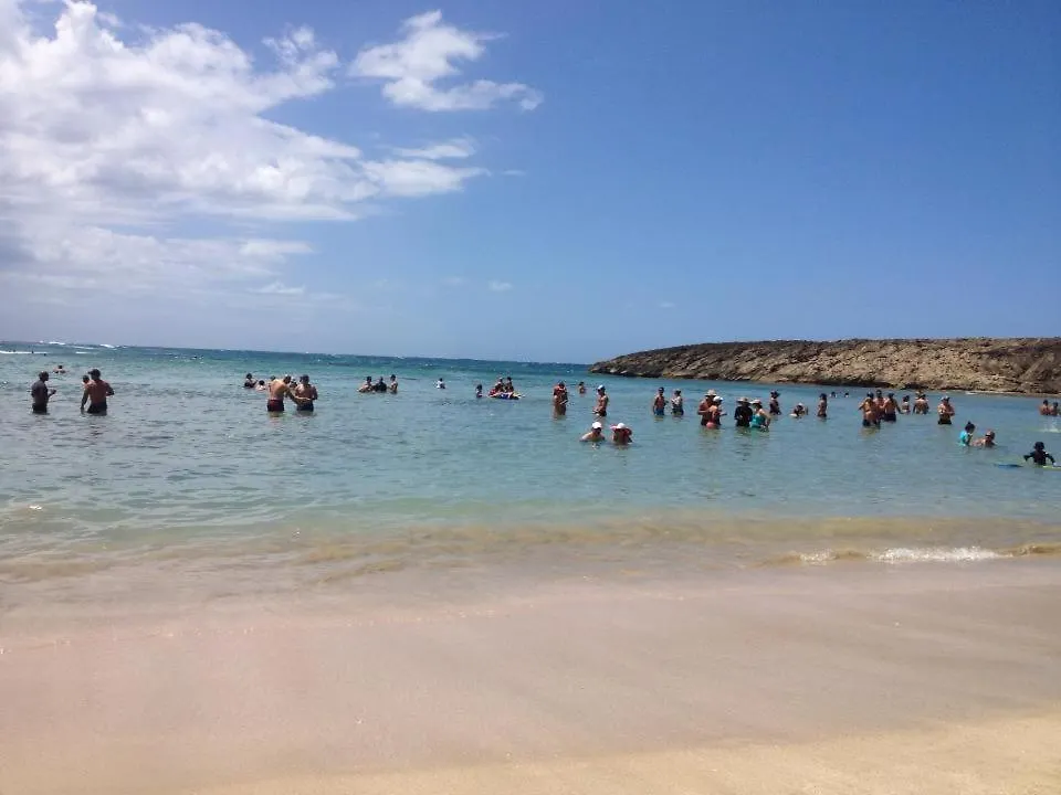 Crash Pad Apartament Isabela 0*,